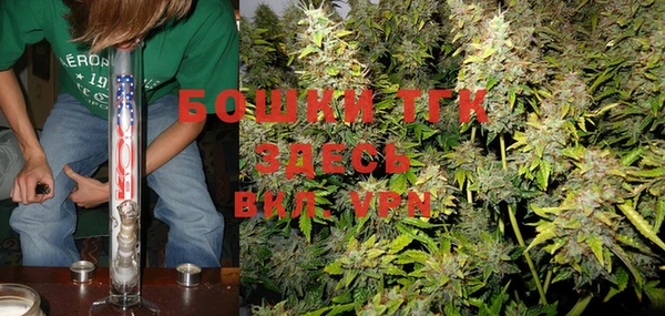 индика Абдулино