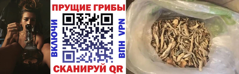 Псилоцибиновые грибы прущие грибы OMG вход Кандалакша что такое наркотик